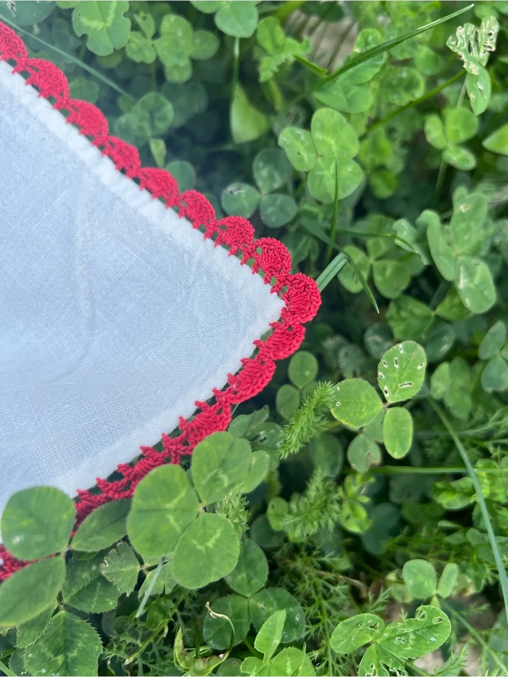 Vintage 1950s Embroidered Bluebird Red Poppy 36” Tablecloth